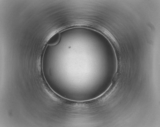 X0000116310842200911301501