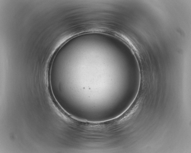 X0000116310843200911301501