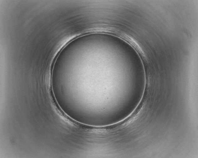 X0000116310844200911301501