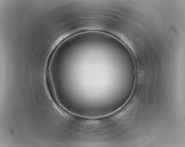 X0000116310845200911301501