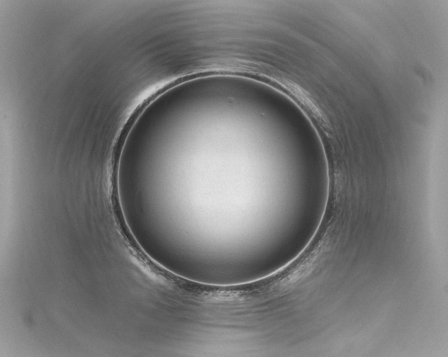 X0000116310846200911301501