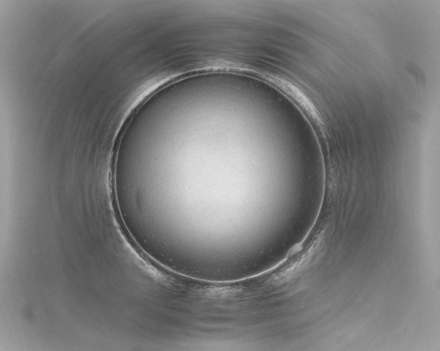 X0000116310847200911301501