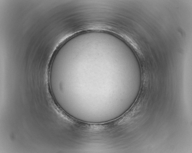 X0000116310848200911301501