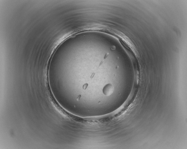 X0000116310850200911301501