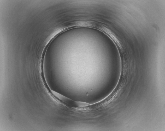 X0000116310853200911301501