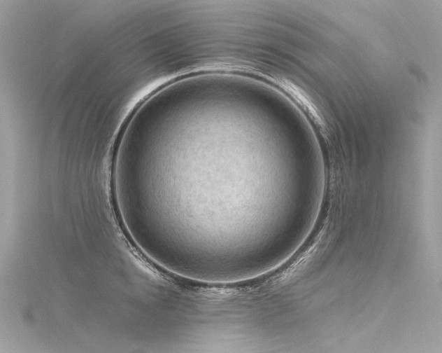 X0000116310854200911301501