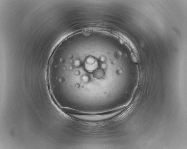 X0000116310855200911301501