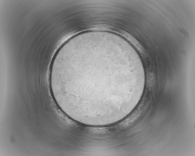 X0000116310856200911301501