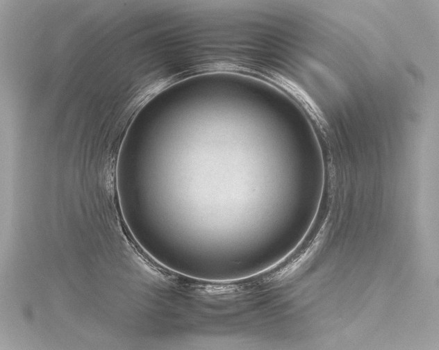 X0000116310857200911301501