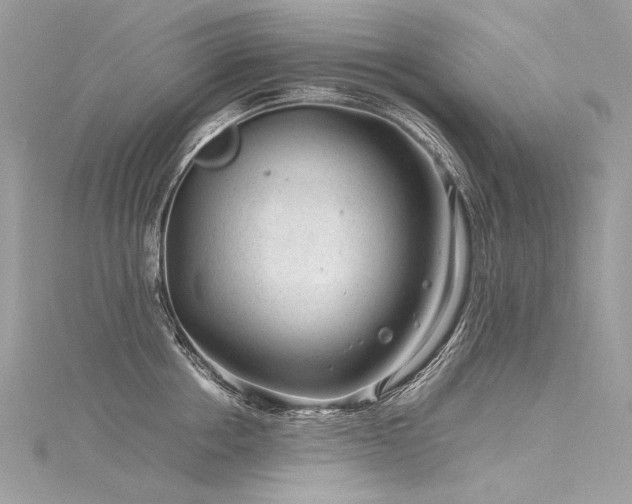 X0000116310858200911301501