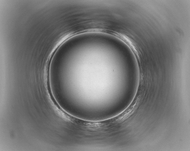 X0000116310859200911301501