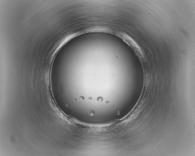 X0000116310860200911301501