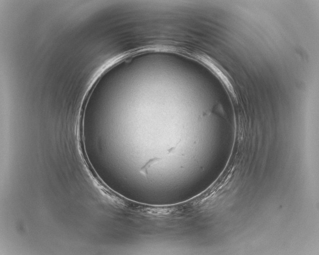 X0000116310861200911301501