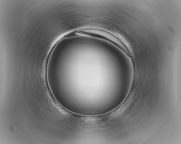 X0000116310862200911301501