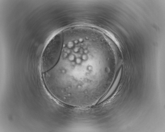 X0000116310863200911301501