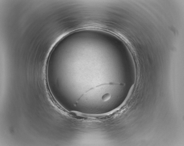 X0000116310864200911301501