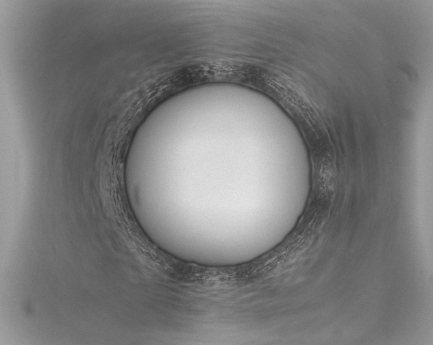 X0000116310865200911301501