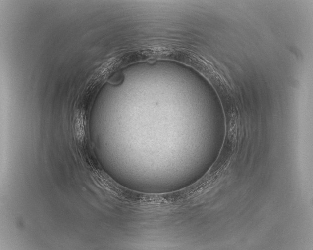 X0000116310866200911301501