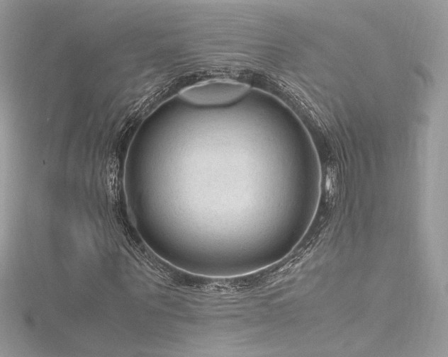 X0000116310867200911301501