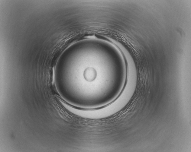 X0000116310868200911301501