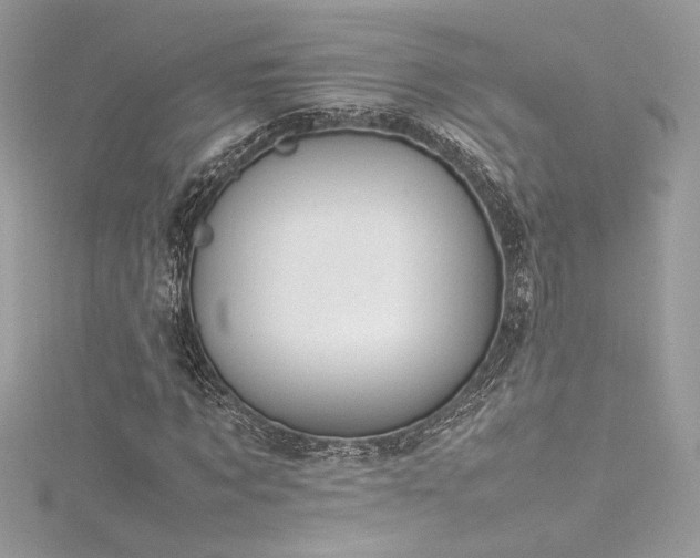 X0000116310869200911301501