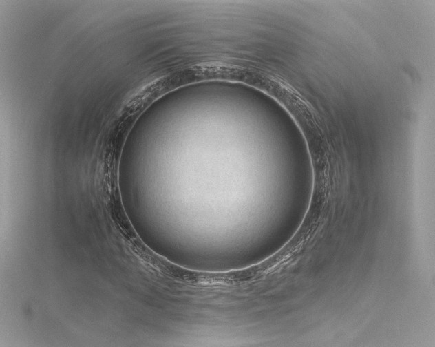 X0000116310870200911301501