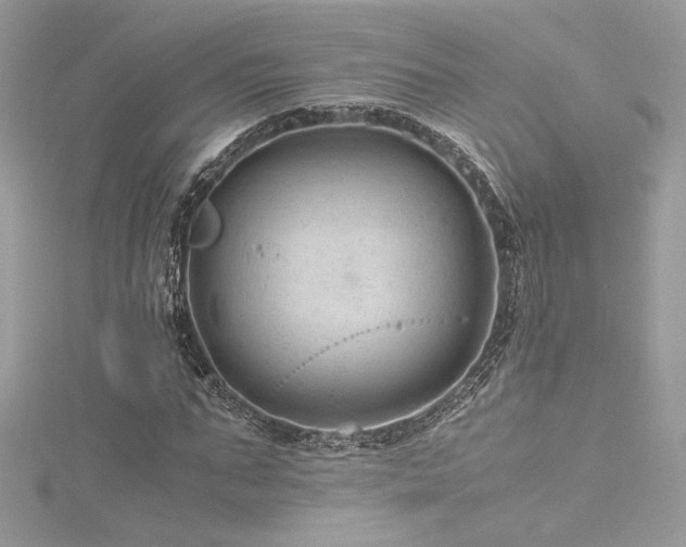 X0000116310871200911301501