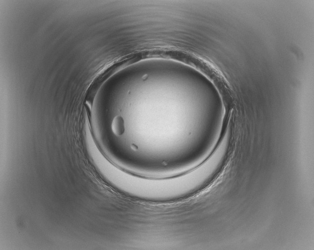 X0000116310873200911301500