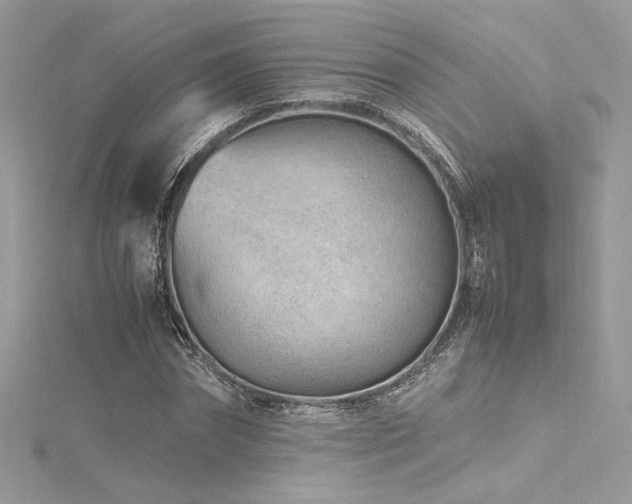 X0000116310874200911301500