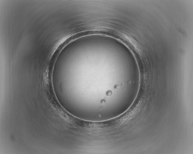 X0000116310875200911301500