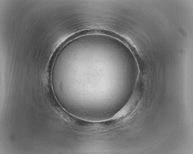 X0000116310879200911301500