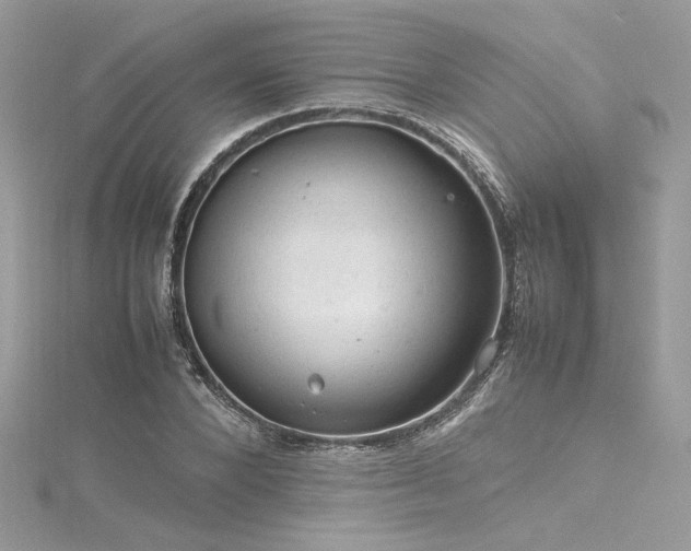 X0000116310880200911301500