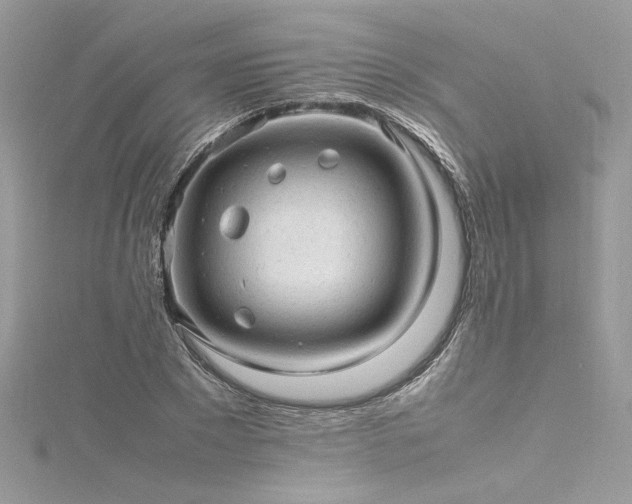 X0000116310881200911301500