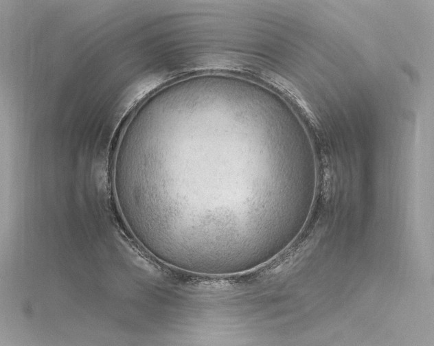 X0000116310882200911301500