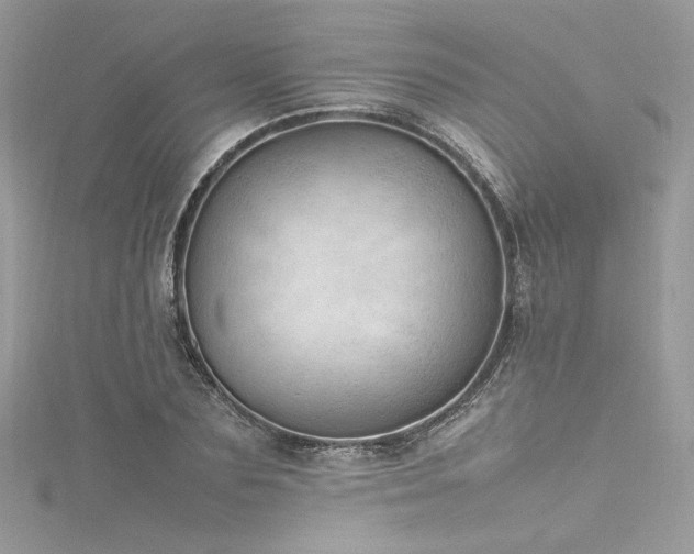 X0000116310883200911301500