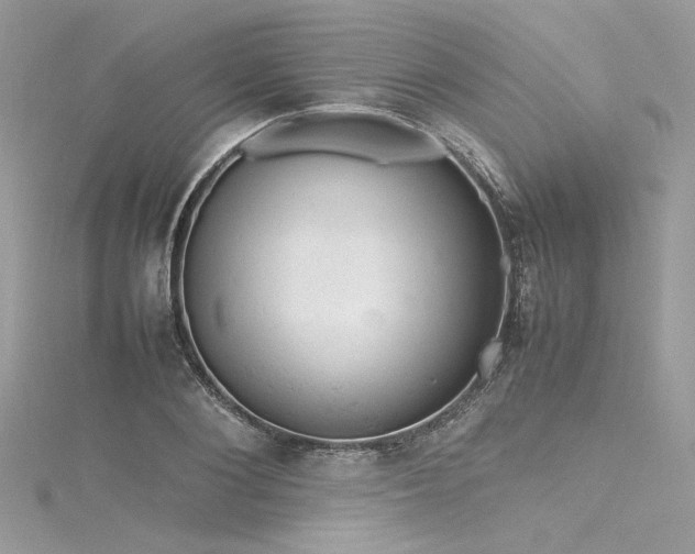 X0000116310884200911301500