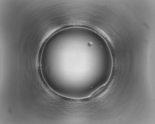 X0000116310885200911301500