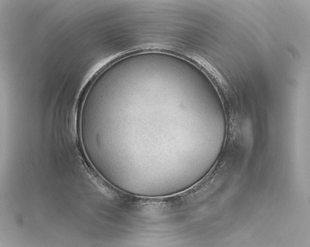 X0000116310886200911301500