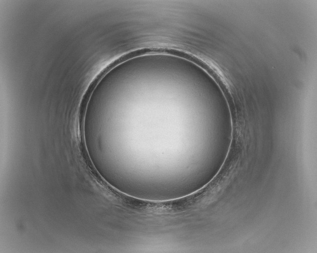 X0000116310887200911301500