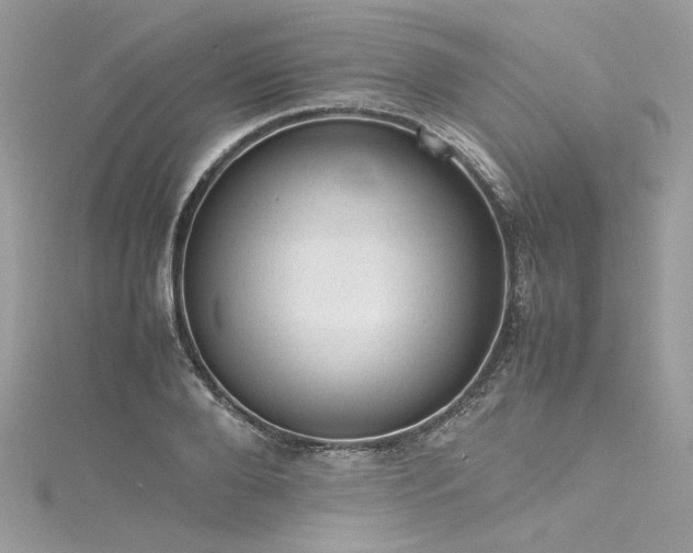 X0000116310888200911301500