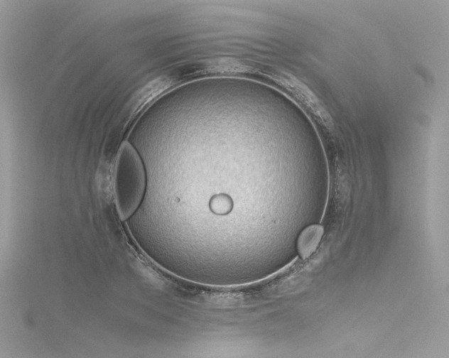 X0000116310889200911301500