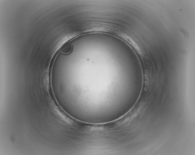 X0000116310890200911301500