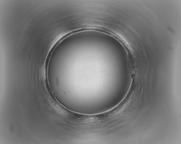 X0000116310891200911301500