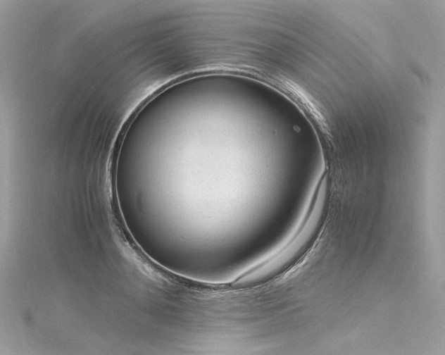 X0000116310892200911301500