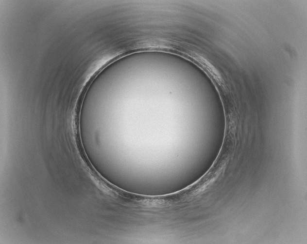 X0000116310893200911301500