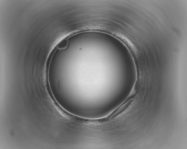 X0000116310894200911301500