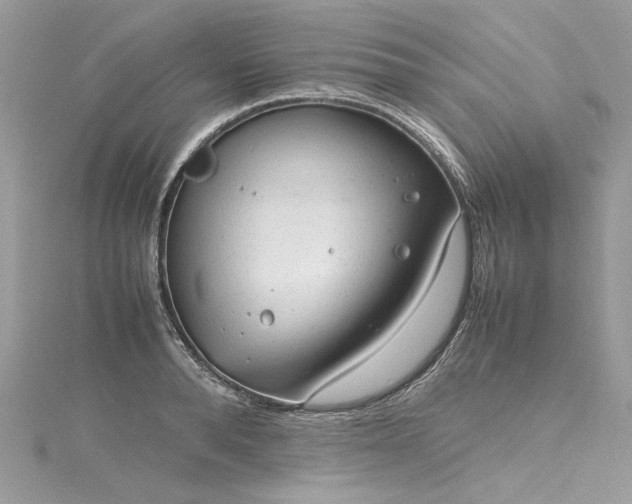 X0000116310896200911301500