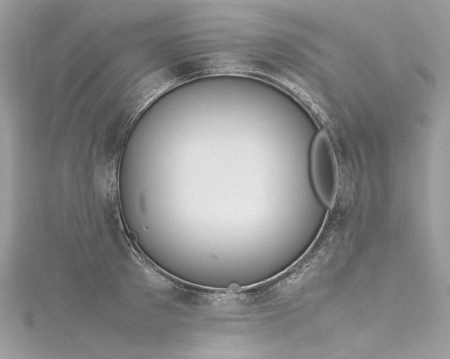 X0000116310897200911301500