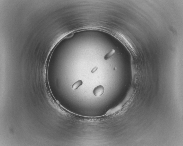 X0000116310900200911301500