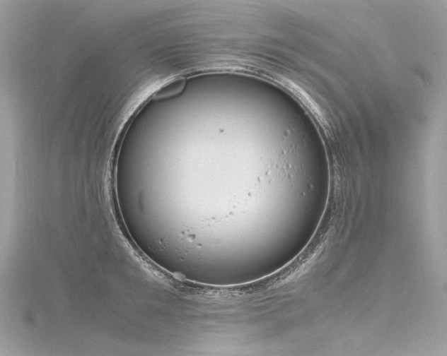 X0000116310901200911301500